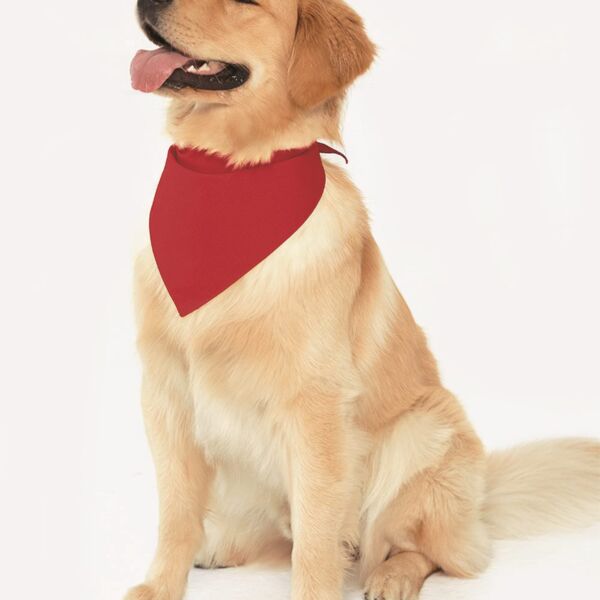 DOG SKINS BANDANA Thumbnail